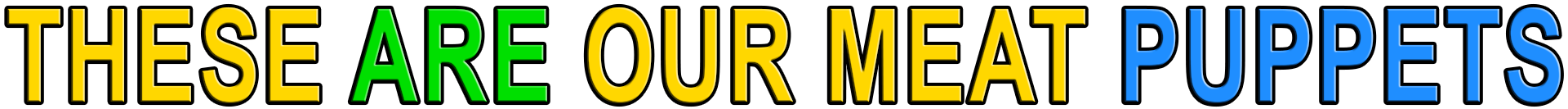 THESE ARE OUR MEAT PUPPETS